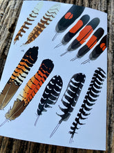 Load image into Gallery viewer, 7 Pack - Featherdale Native Australian Feather A6 Cards - Sustainability Printed