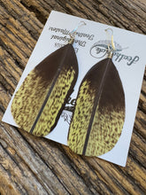 Load image into Gallery viewer, Vibrant Australian Midnight Star Show