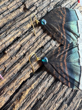 Load image into Gallery viewer, Midnight Ridge