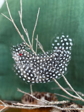 Load image into Gallery viewer, Featherdale Christmas Ornaments - Decorative Guinea Bird