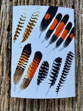 Load image into Gallery viewer, 7 Pack - Featherdale Native Australian Feather A6 Cards - Sustainability Printed
