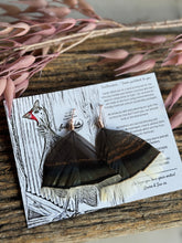 Load image into Gallery viewer, Ironbark Rose