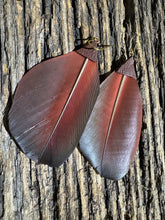 Load image into Gallery viewer, Macaw Midnight