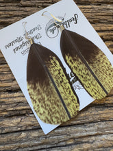 Load image into Gallery viewer, Vibrant Australian Midnight Star Show