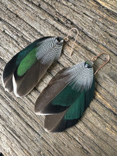 Load image into Gallery viewer, Mallard & Pawa Shell