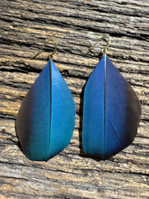 Load image into Gallery viewer, Macaw Midnight