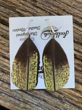 Load image into Gallery viewer, Vibrant Australian Midnight Star Show