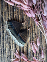 Load image into Gallery viewer, Ironbark Rose