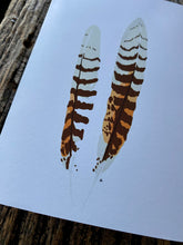 Load image into Gallery viewer, 7 Pack - Featherdale Native Australian Feather A6 Cards - Sustainability Printed