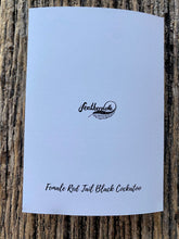 Load image into Gallery viewer, 7 Pack - Featherdale Native Australian Feather A6 Cards - Sustainability Printed