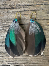 Load image into Gallery viewer, Mallard & Pawa Shell