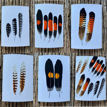 Load image into Gallery viewer, 7 Pack - Featherdale Native Australian Feather A6 Cards - Sustainability Printed
