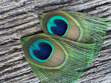 Load image into Gallery viewer, King Peacocks
