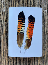 Load image into Gallery viewer, 7 Pack - Featherdale Native Australian Feather A6 Cards - Sustainability Printed
