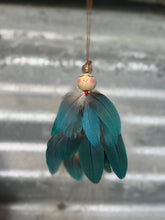 Load image into Gallery viewer, Featherdale Angels - Rare Blue Rube
