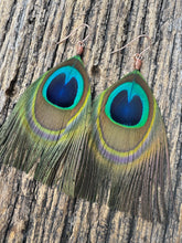 Load image into Gallery viewer, King Peacocks
