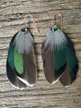 Load image into Gallery viewer, Mallard &amp; Pawa Shell
