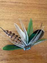 Load image into Gallery viewer, Wild Fern ~ Australian Opal
