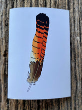 Load image into Gallery viewer, 7 Pack - Featherdale Native Australian Feather A6 Cards - Sustainability Printed
