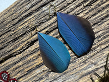 Load image into Gallery viewer, Macaw Midnight
