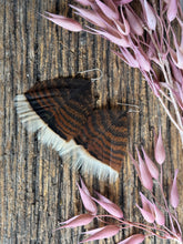 Load image into Gallery viewer, Rust and Lace
