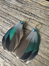 Load image into Gallery viewer, Mallard &amp; Pawa Shell
