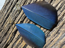 Load image into Gallery viewer, Macaw Midnight
