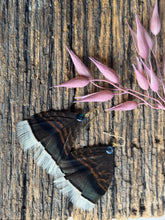 Load image into Gallery viewer, Midnight Ridge
