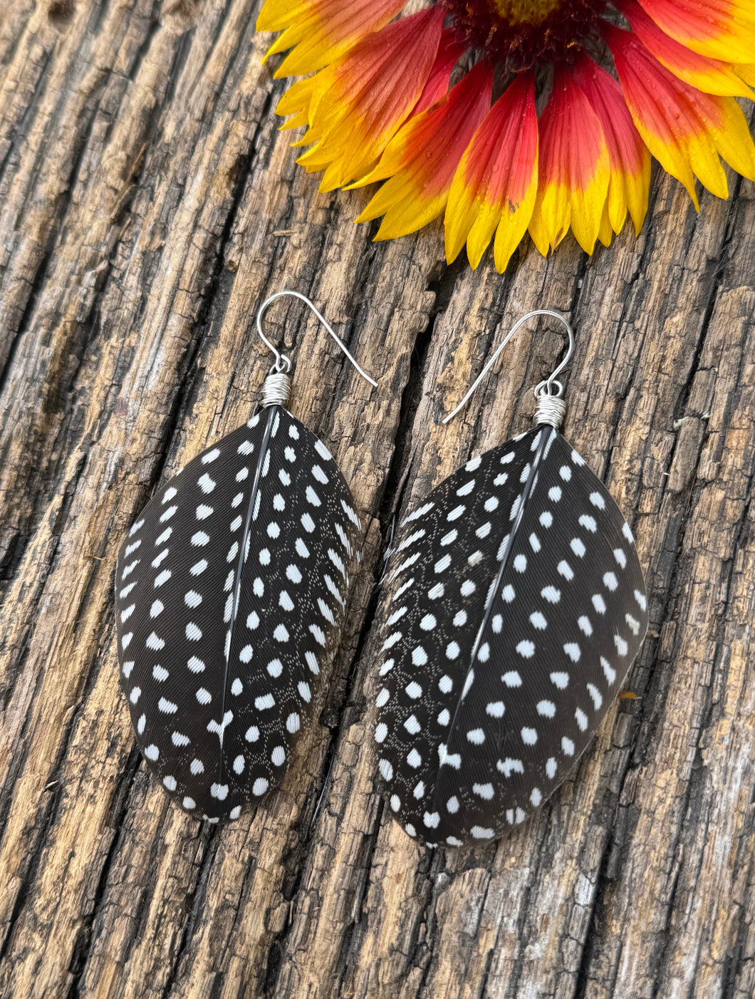 Original Featherdale Copper Guineas